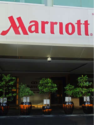 Mangrove trees in front of the Marriott Sathorn Vista in Bangkok