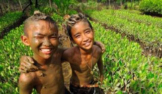 Boys play in mangrove plantation in thailand © Sayan Chenudomsauad / MFF