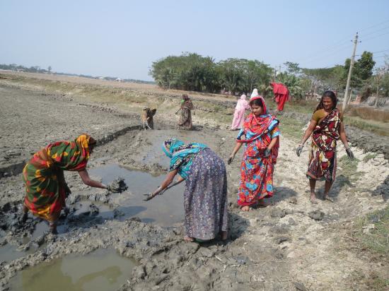 Women laborers in get only $1.5 a day in Shyamnagar