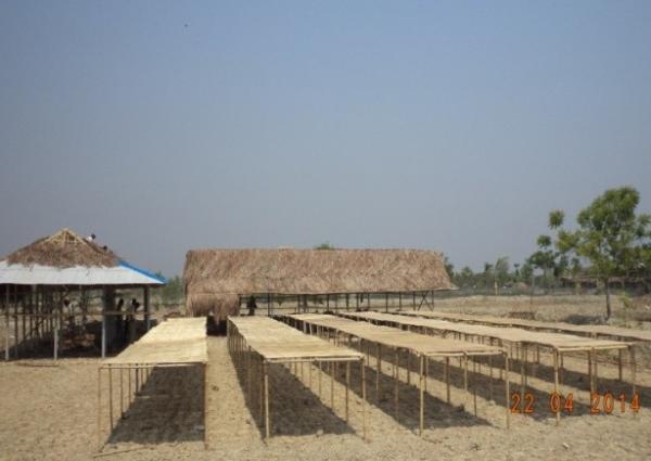 Dry fish enterprise in Mathurapur Village