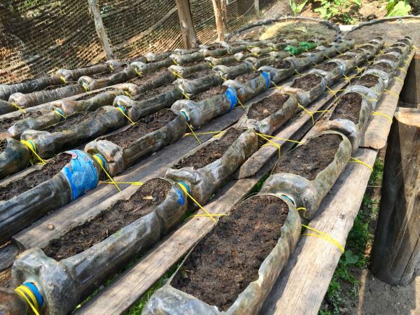 Farmers in Koh Kong province have been able to implement new integrated farming 