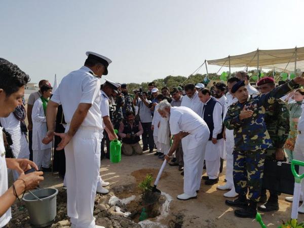 Admiral Zakaullah plants a mangrove sapling