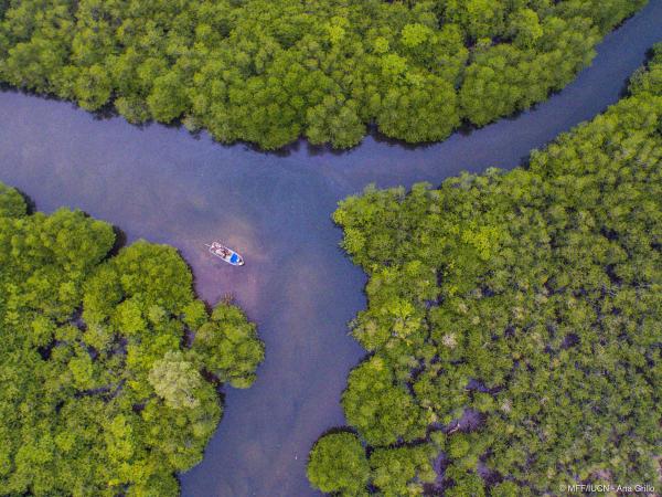 DJI 0002