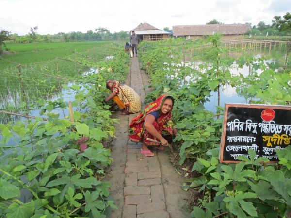 Mona and her workmates doing vegetable gardening at the Fish drying enterprise premises