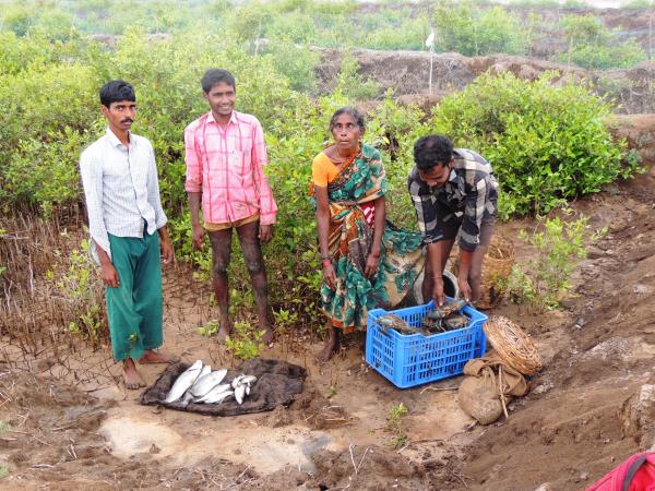 Yanadi tribes in IMFFS2