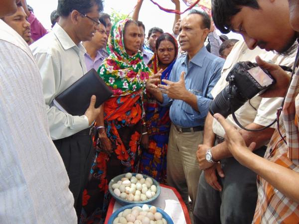 A group of men and women stand around two small tubs full of eggs