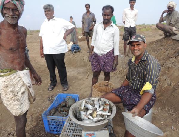 Yendai tribe members sell produce from their fish farms at the local markets 