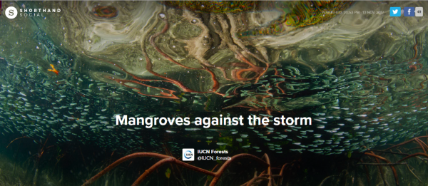 mangroves shorthand cover