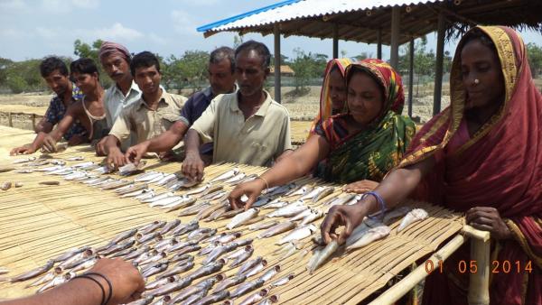 Training of fish drying