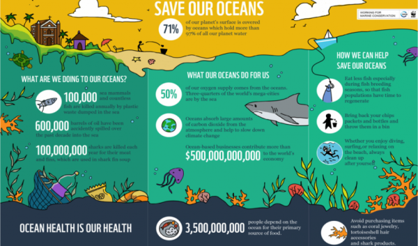 infographic