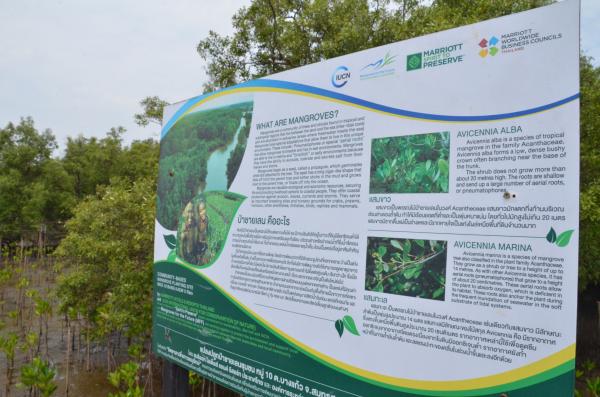 A signboard with information on mangroves and the logos of IUCN, MFF, and Marrio